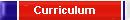 Curriculum