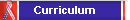 Curriculum
